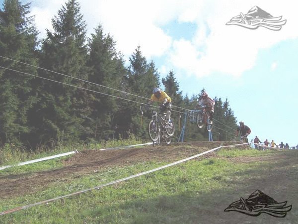 Click on the photo for the orgiginal